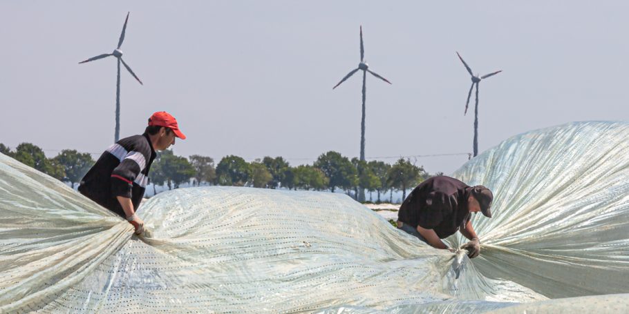 Kampf gegen den Wind