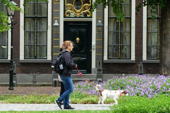 Frau mit Hund entlang einer Pflasterstraße vor einem historischen Gebäude mit Blumen.